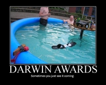 Darwin awards