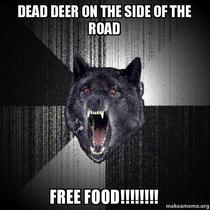 Dead deer insane wolf