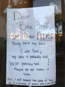 Dear bike thief