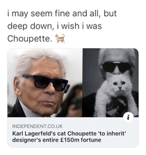 dear choupette please adopt me