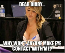 Dear diary plz explain