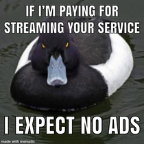 Dear Netflix or any other streaming service who tries to fallow suit