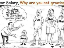 Dear Salary Why are you not growing