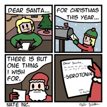 Dear Santa