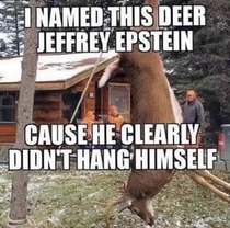 Deer season is coming up Gonna bag my very own Epstein