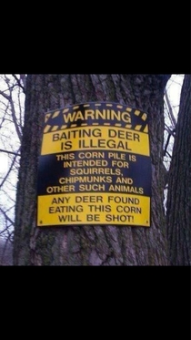 Deer violators