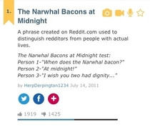 Definition of When does the narwhal bacon as per urban dictionary