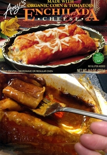 Delicious enchiladas