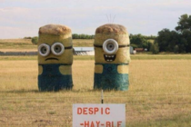 Despic-hay-ble