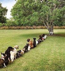 Devastating Effects of Deforestation