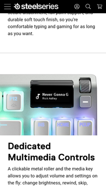 Did I just get Rickrolled by SteelSeries while looking for a keyboard