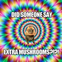 Did Someone Say Extra Mushrooms - the_pizzacat