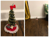 Didnt have space for a proper tree but I made up for it in holiday spirit