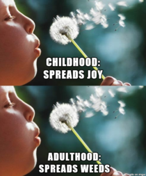 Difference between childhood and adulthood