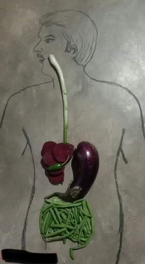 Digestive system of a vegan