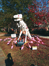 Dinosaur-skeleton-being-attacked-by-lawn- flamingos Christmas decor my neighbors put up Sign says It Is What It Is