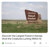 Discover the Largest Forest in Kansas