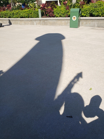 Disney did it again If you go to Hollywood Studios in Fl sit on the bench near the gigantic dinosaur around noon and look for a special shadow