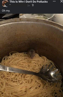 Disneyworld is taking things serious now with Ratatouille