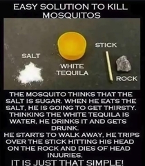 DIY Mosquito Murder