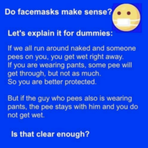 Do face masks make sense