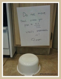 Do NOT move this Bowl