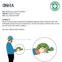 DO NOT TRUST THE TURTLE