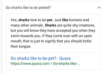Do sharks like to be petted