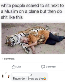 Do tigers explode