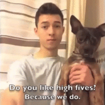 Do you like high fives