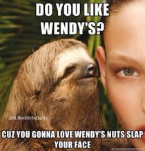Do you like Wendys