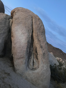 does anybody know this rock in joshua tree national park