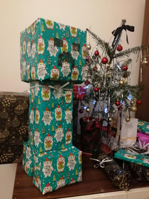 Does reddit like the way I wrapped my boyfriends Christmas present