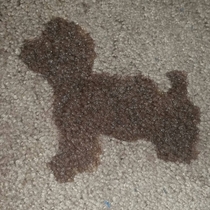 Dog art Aka my puppy peed a puppy