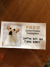 Dog business card