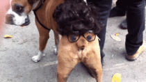 Dog Butt Costume