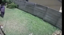 Dog Chases Burglar Away