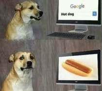 Dog doesnt get what he expects