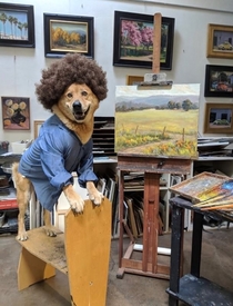 Dog Ross