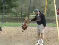Dog Swinging
