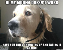 Dog tech support