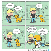 Dog Training