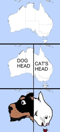 DogCat face in Australia