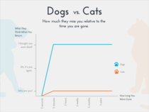 Doggos vs Catz