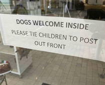 Dogs are always welcome