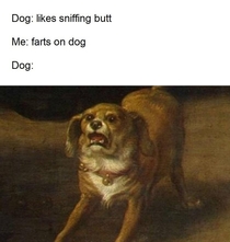 Dogs be like