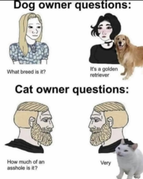 Dogs or Cats