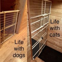 Dogs v Cats