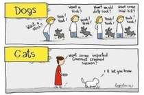 Dogs Vs Cats