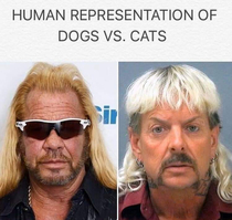 Dogs vs cats